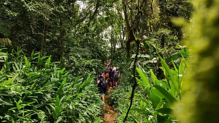 Trilha Po&ccedil;o formoso - Paranapiacaba