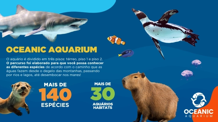 Imagem de vitrine