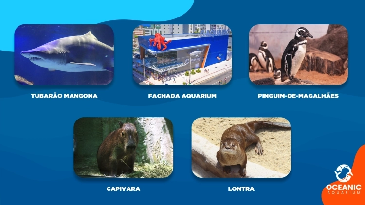 Imagem de vitrine