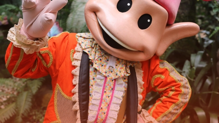  terra magica  florybal