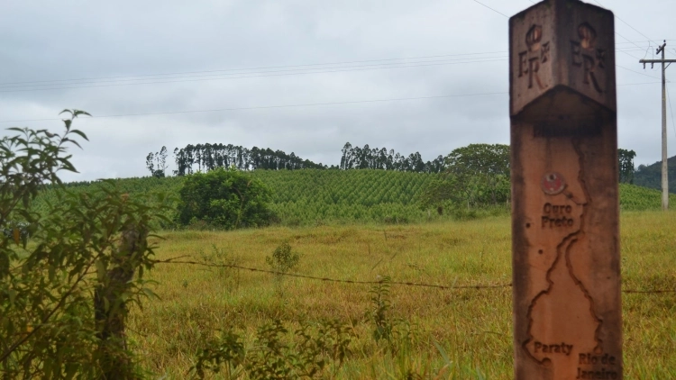 Imagem de vitrine