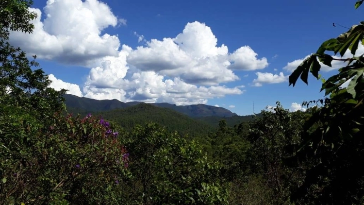 Imagem de vitrine