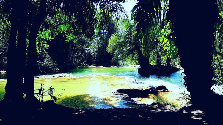 Bonito e Pantanal 