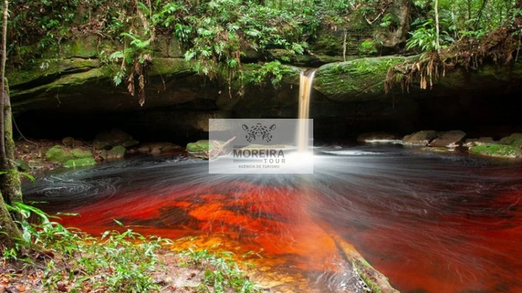 Imagem de vitrine