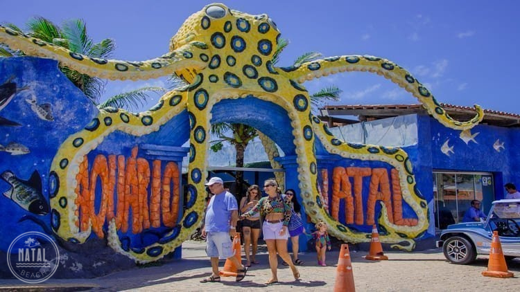 Natal Beach - Melhores passeios em Natal-RN Natal Beach - Melhores passeios em Natal-RN