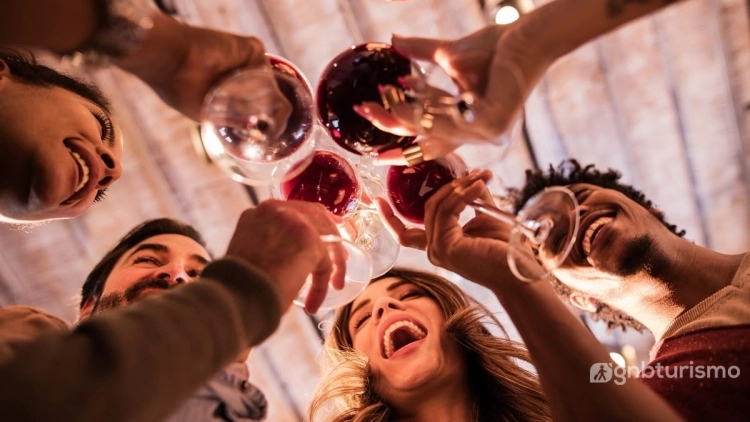 Tour Vinhos e Sabores - Coletivo