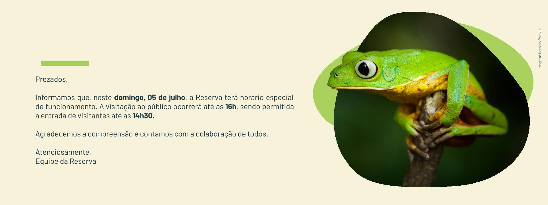 Imagem de vitrine