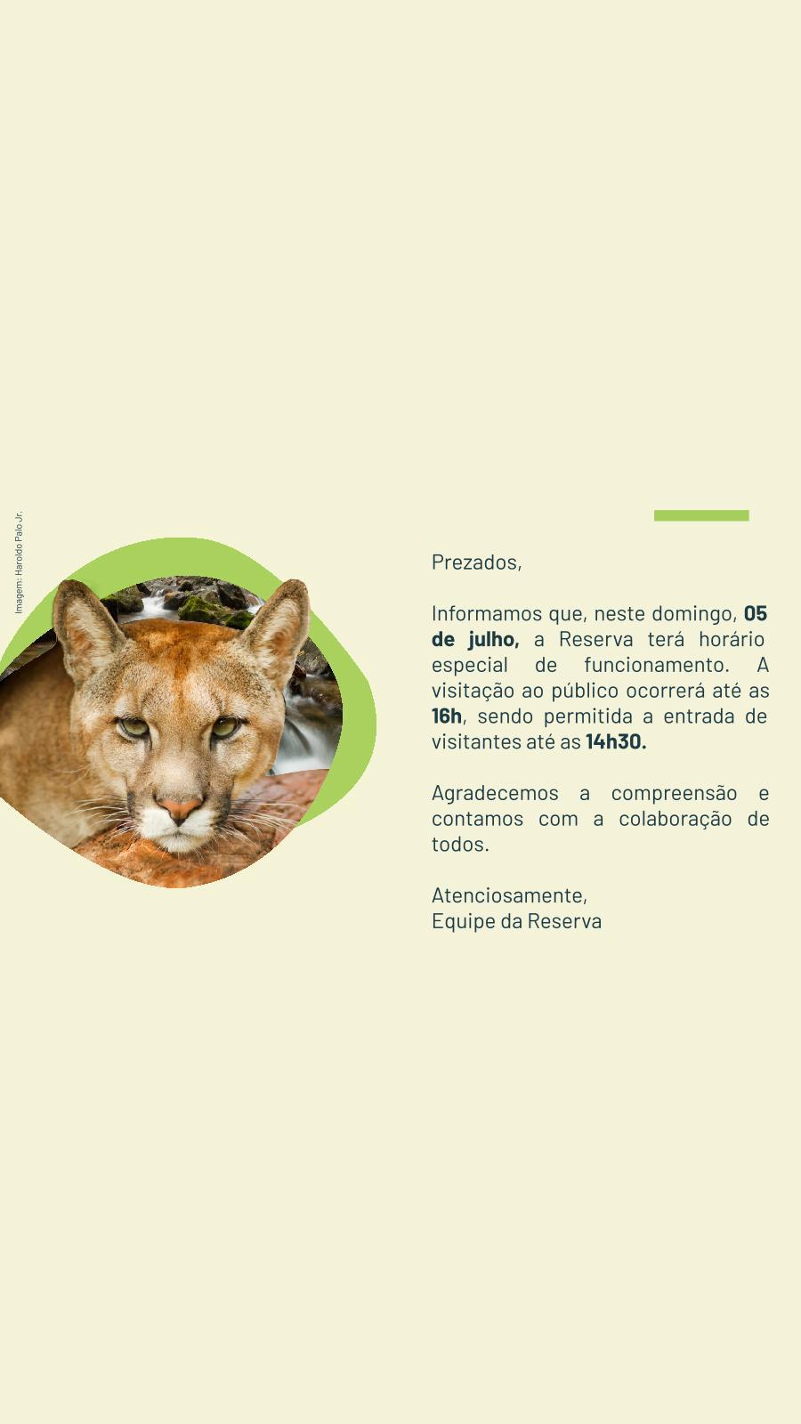 Imagem de vitrine