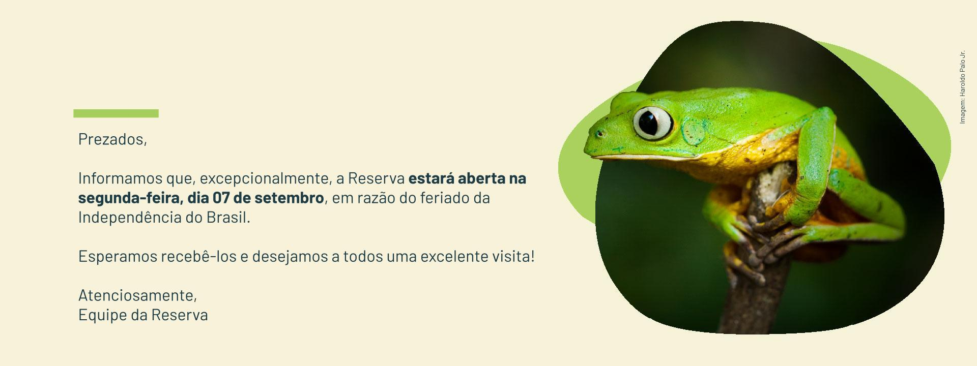 Imagem de vitrine