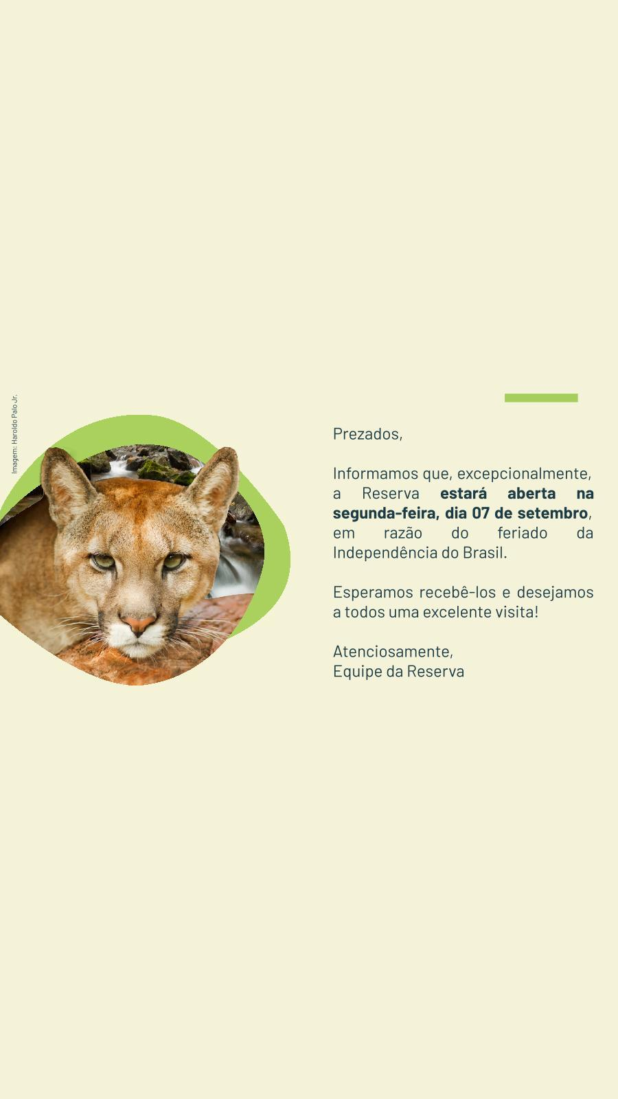 Imagem de vitrine