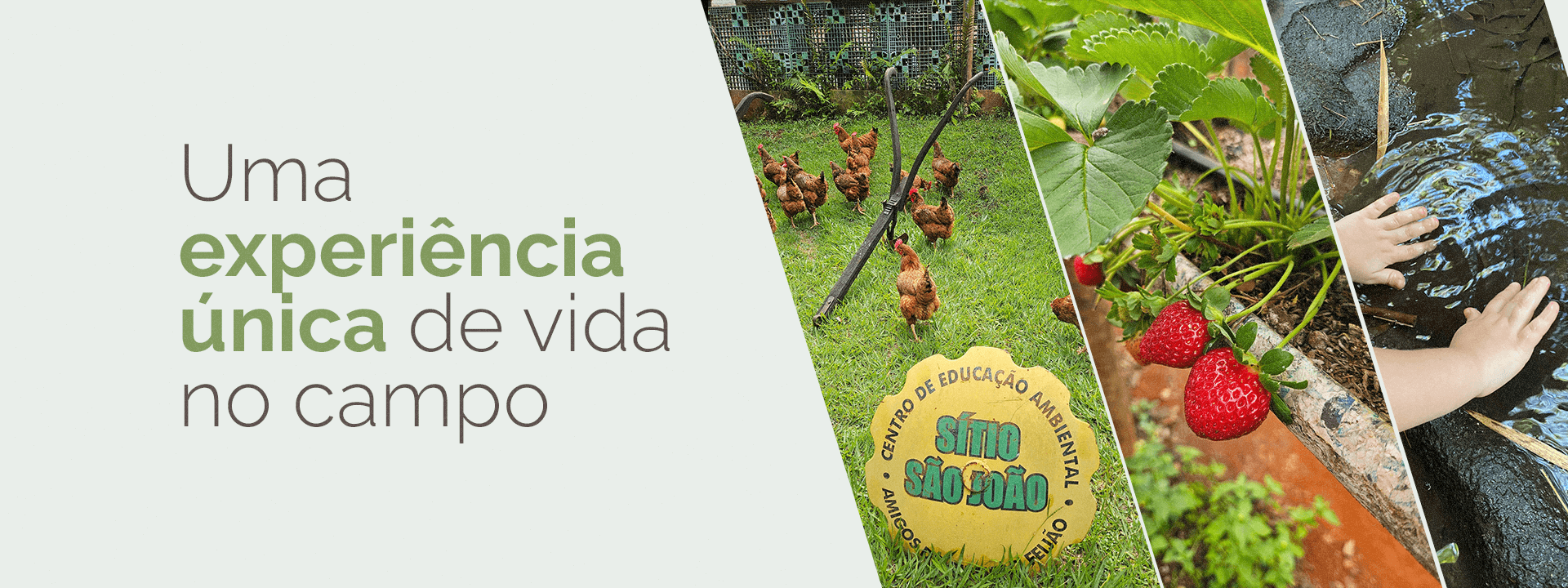 Imagem de vitrine