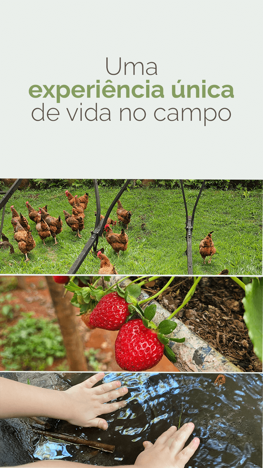 Imagem de vitrine