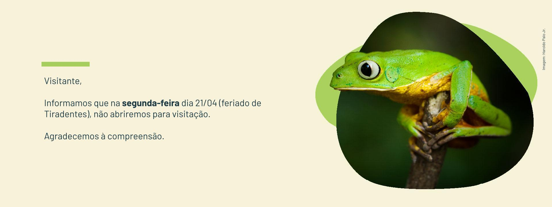 Imagem de vitrine
