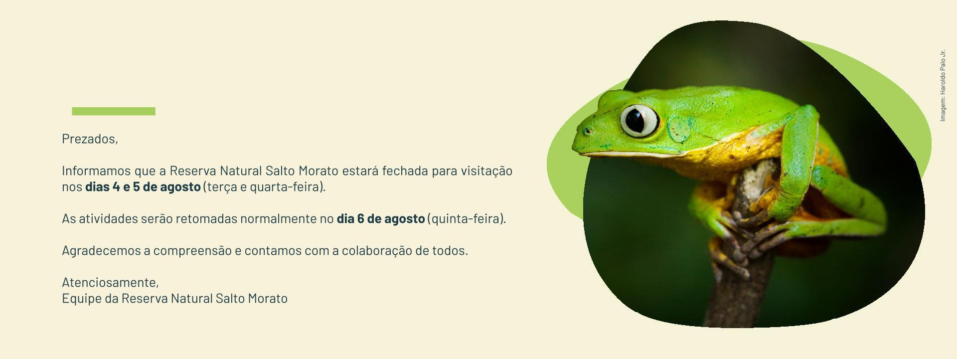 Imagem de vitrine