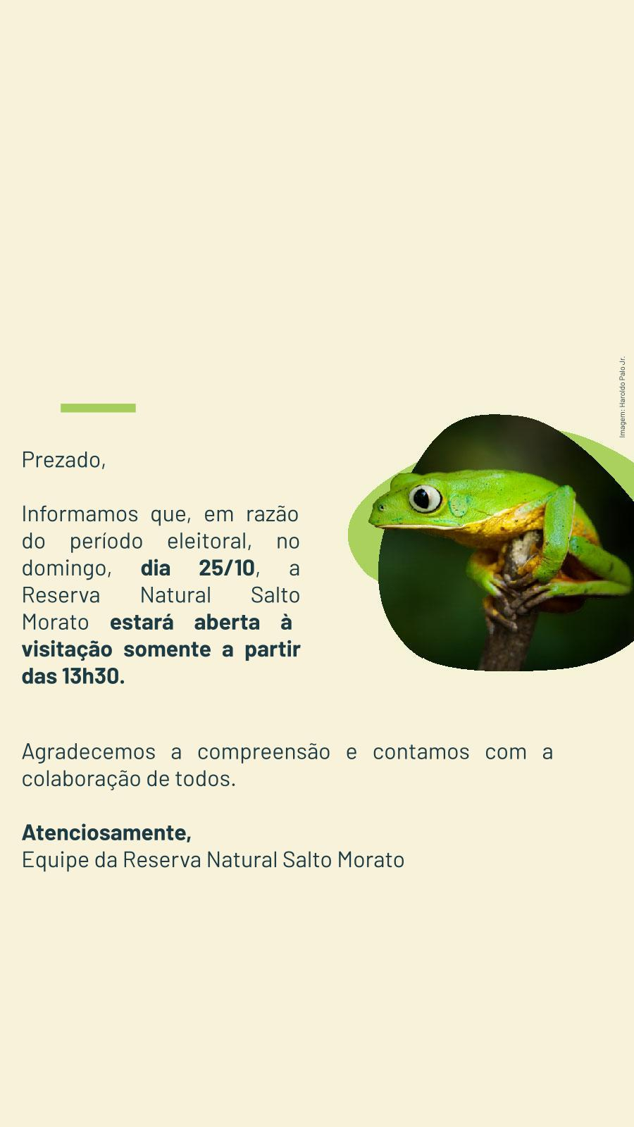 Imagem de vitrine