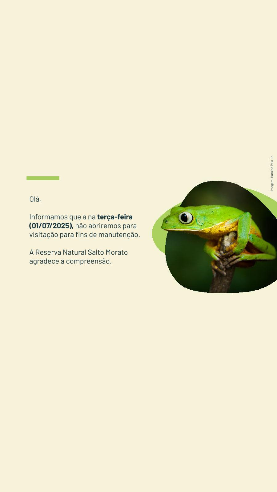 Imagem de vitrine